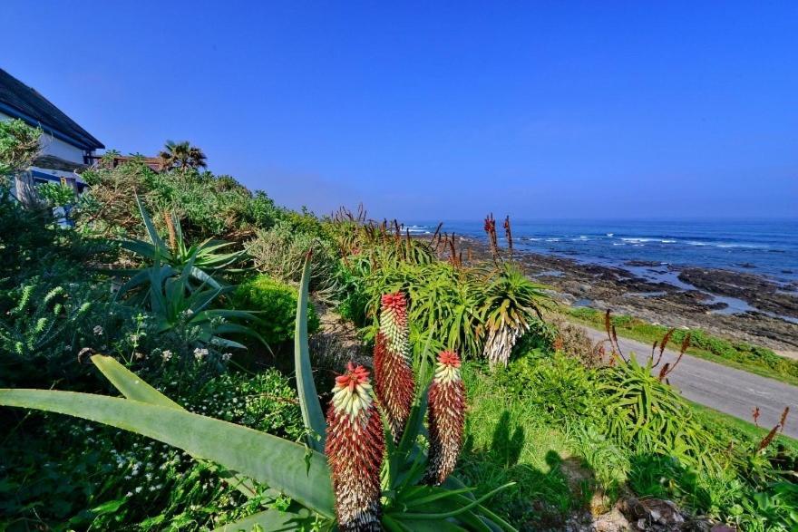 Casa Seaviews Hotel พอร์ตเอลิซาเบธ ภายนอก รูปภาพ